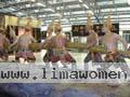 thailand-women-92